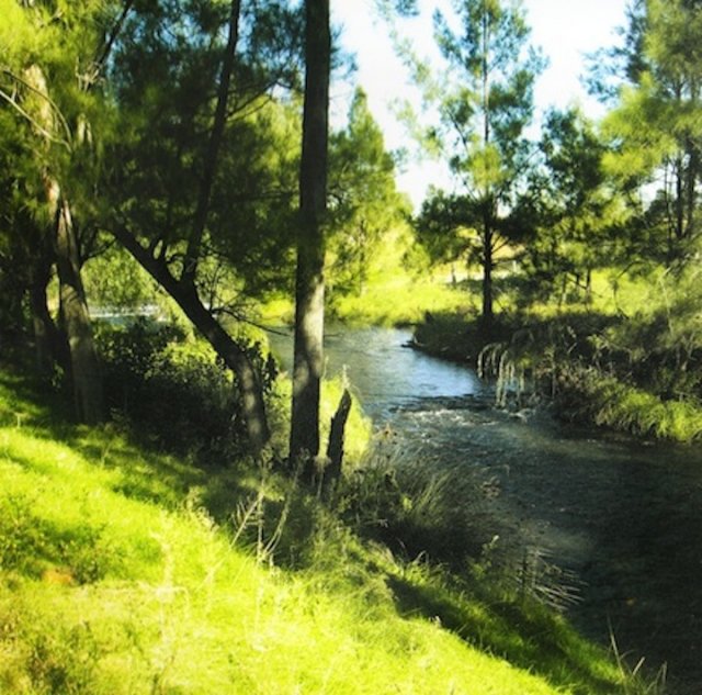 Creek at St Clair Mission - 2008